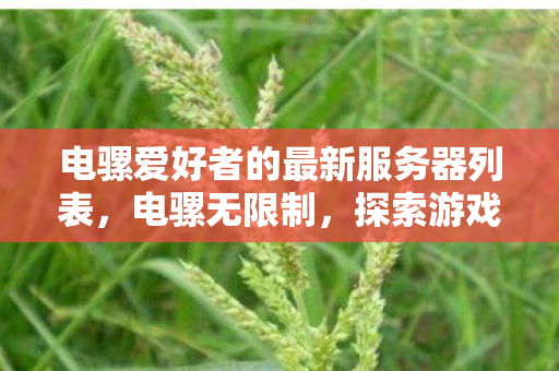 电骡爱好者的最新服务器列表，电骡无限制，探索游戏世界的无限可能