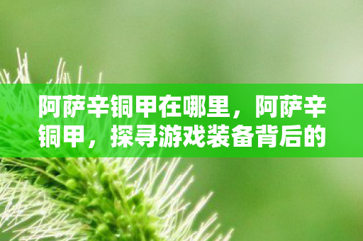 阿萨辛铜甲在哪里，阿萨辛铜甲，探寻游戏装备背后的传奇故事