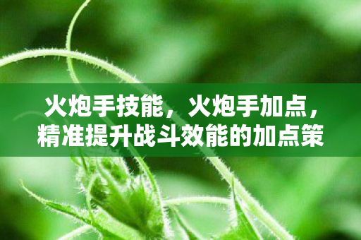 火炮手技能，火炮手加点，精准提升战斗效能的加点策略