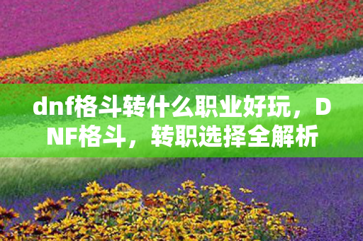 dnf格斗转什么职业好玩，DNF格斗，转职选择全解析—打造你的专属战斗风格