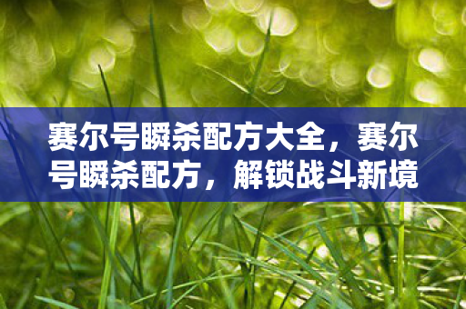 赛尔号瞬杀配方大全，赛尔号瞬杀配方，解锁战斗新境界