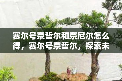 赛尔号奈哲尔和奈尼尔怎么得，赛尔号奈哲尔，探索未知宇宙的奇妙之旅