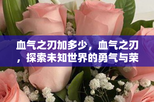 血气之刃加多少，血气之刃，探索未知世界的勇气与荣耀