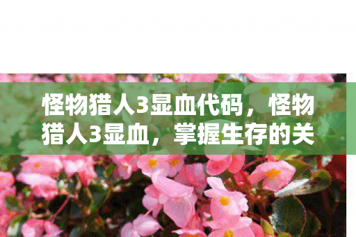 怪物猎人3显血代码，怪物猎人3显血，掌握生存的关键