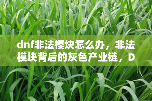 dnf非法模块怎么办，非法模块背后的灰色产业链，DNF玩家的隐形威胁