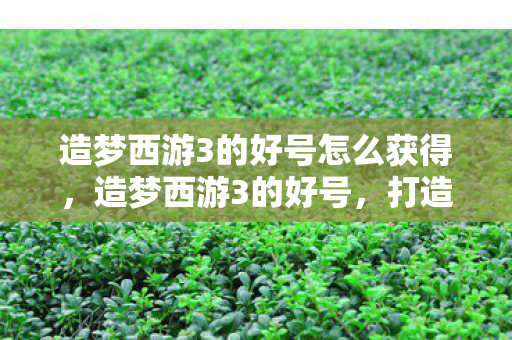 造梦西游3的好号怎么获得，造梦西游3的好号，打造你的专属梦幻之旅