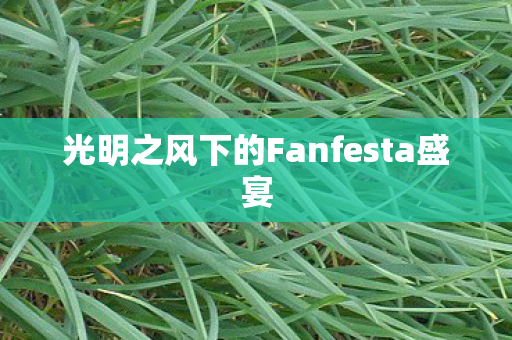 光明之风下的Fanfesta盛宴