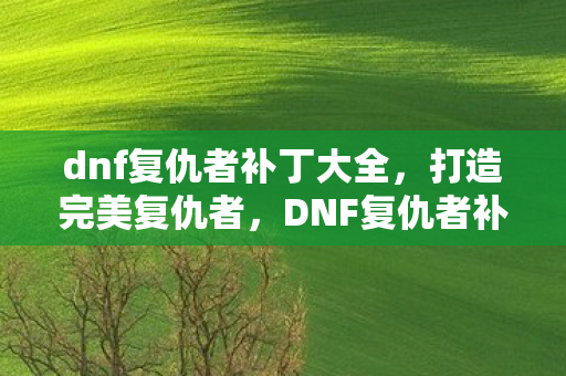 dnf复仇者补丁大全，打造完美复仇者，DNF复仇者补丁全解析