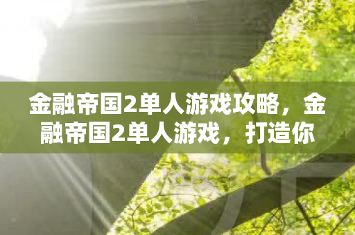 金融帝国2单人游戏攻略，金融帝国2单人游戏，打造你的金融王国