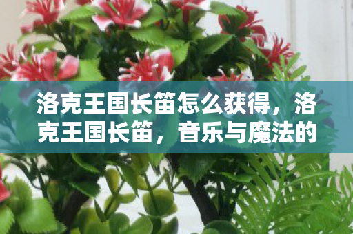 洛克王国长笛怎么获得，洛克王国长笛，音乐与魔法的交响曲