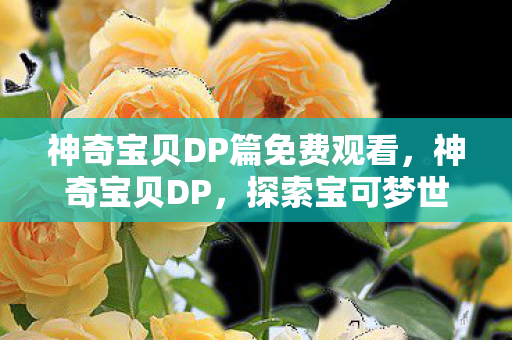 神奇宝贝DP篇免费观看，神奇宝贝DP，探索宝可梦世界的深度之旅