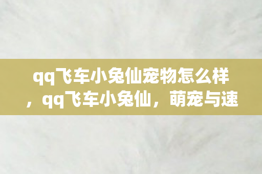 qq飞车小兔仙宠物怎么样，qq飞车小兔仙，萌宠与速度的梦幻交织