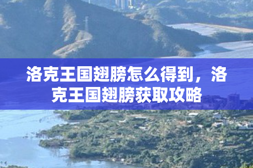 洛克王国翅膀怎么得到，洛克王国翅膀获取攻略