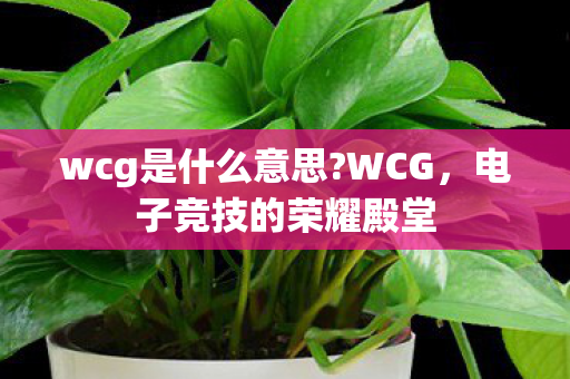 wcg是什么意思?WCG，电子竞技的荣耀殿堂