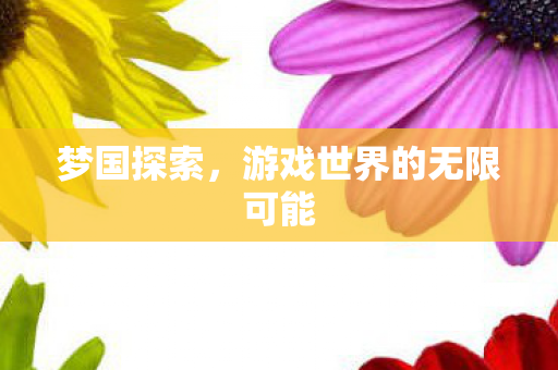 梦国探索，游戏世界的无限可能