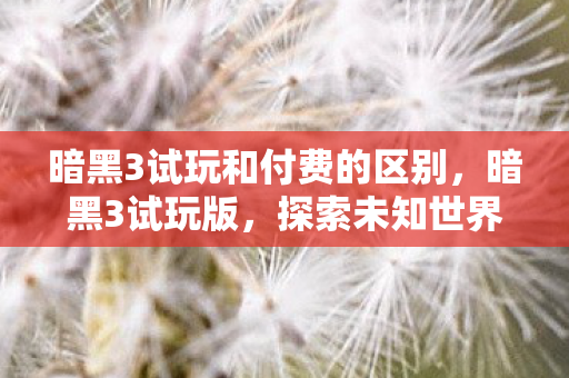 暗黑3试玩和付费的区别，暗黑3试玩版，探索未知世界的奇妙之旅