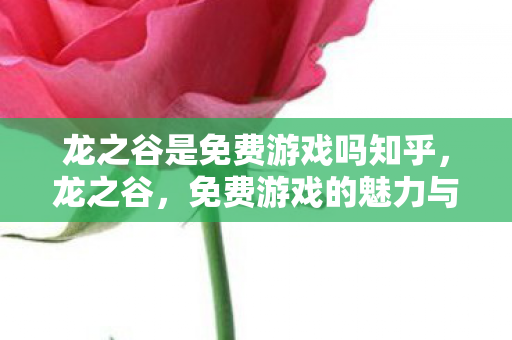 龙之谷是免费游戏吗知乎，龙之谷，免费游戏的魅力与挑战