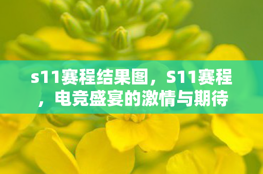 s11赛程结果图，S11赛程，电竞盛宴的激情与期待