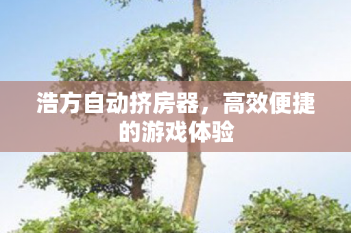 浩方自动挤房器，高效便捷的游戏体验