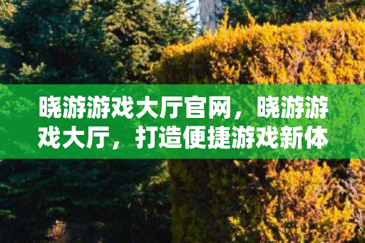 晓游游戏大厅官网，晓游游戏大厅，打造便捷游戏新体验