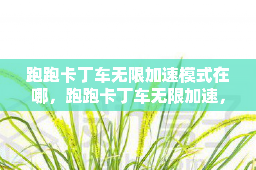 跑跑卡丁车无限加速模式在哪，跑跑卡丁车无限加速，解锁极速乐趣，畅享无限驾驶