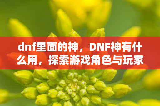 dnf里面的神，DNF神有什么用，探索游戏角色与玩家社区的深层联系