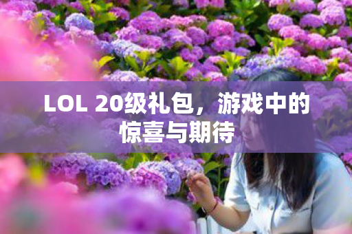 LOL 20级礼包，游戏中的惊喜与期待