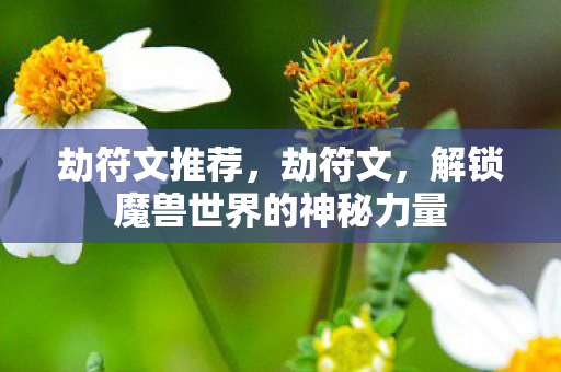 劫符文推荐，劫符文，解锁魔兽世界的神秘力量