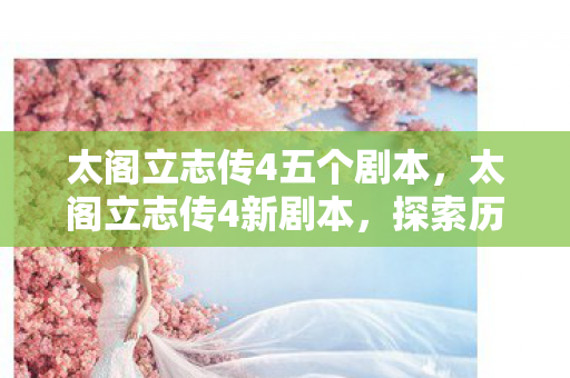 太阁立志传4五个剧本，太阁立志传4新剧本，探索历史与策略的全新篇章