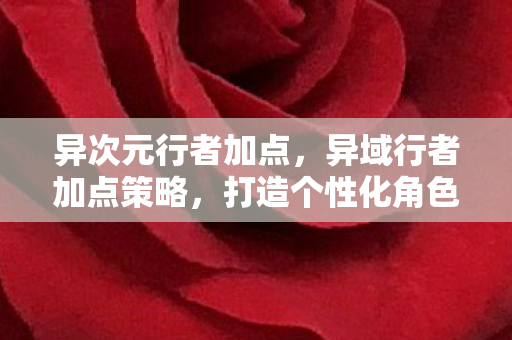 异次元行者加点，异域行者加点策略，打造个性化角色，探索未知领域