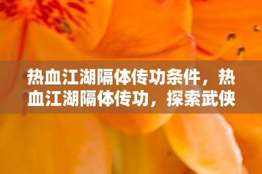 热血江湖隔体传功条件，热血江湖隔体传功，探索武侠世界的神秘传承