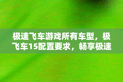 极速飞车游戏所有车型，极飞车15配置要求，畅享极速，你需要这些硬件支持
