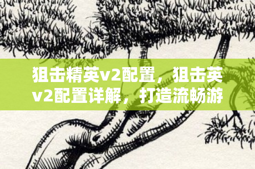 狙击精英v2配置，狙击英v2配置详解，打造流畅游戏体验的硬件指南