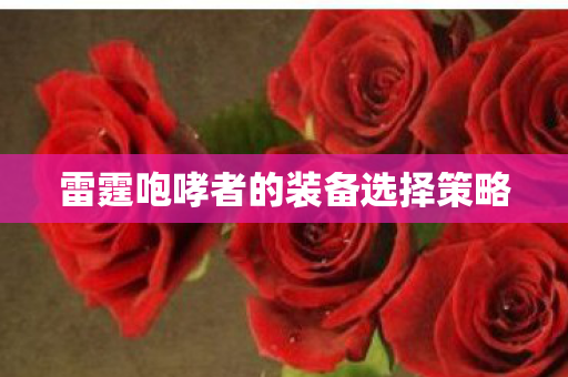 雷霆咆哮者的装备选择策略