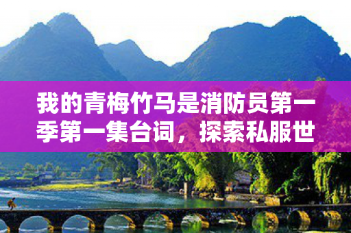 我的青梅竹马是消防员第一季第一集台词，探索私服世界的独特魅力与影响