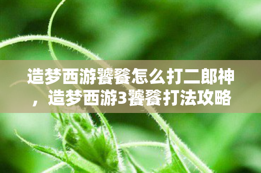 造梦西游饕餮怎么打二郎神，造梦西游3饕餮打法攻略