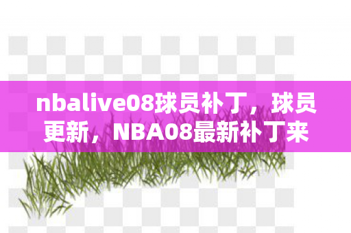 nbalive08球员补丁，球员更新，NBA08最新补丁来袭