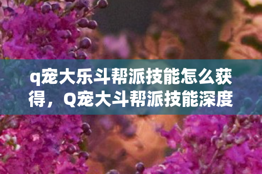 q宠大乐斗帮派技能怎么获得，Q宠大斗帮派技能深度解析，策略与战术的极致碰撞