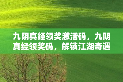 九阴真经领奖激活码，九阴真经领奖码，解锁江湖奇遇的密钥