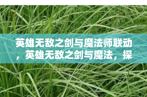 英雄无敌之剑与魔法师联动，英雄无敌之剑与魔法，探索奇幻世界的奥秘