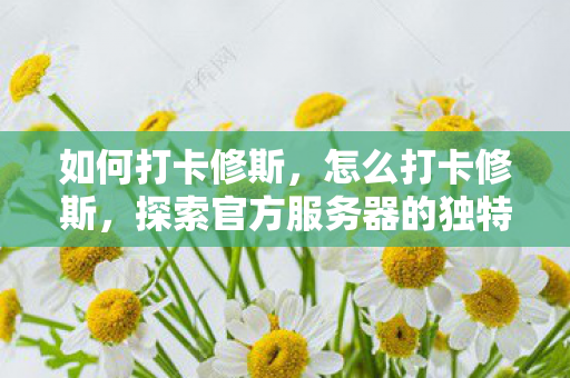 如何打卡修斯，怎么打卡修斯，探索官方服务器的独特魅力与玩法