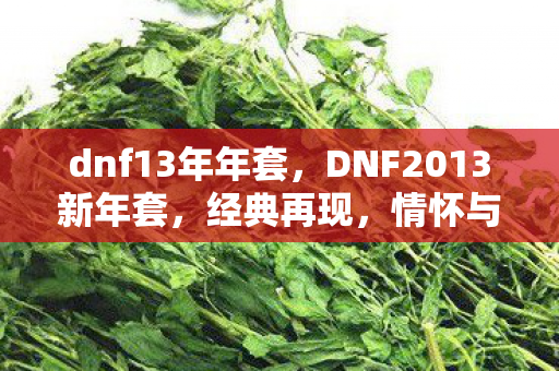 dnf13年年套，DNF2013新年套，经典再现，情怀与实力并存
