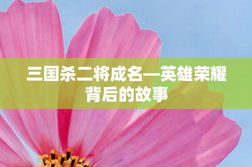 三国杀二将成名—英雄荣耀背后的故事