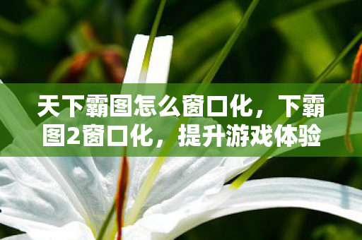天下霸图怎么窗口化，下霸图2窗口化，提升游戏体验的必备技巧
