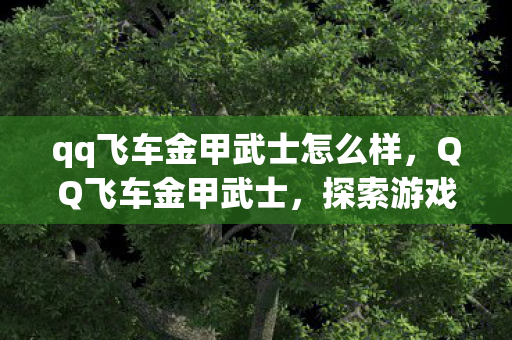 qq飞车金甲武士怎么样，QQ飞车金甲武士，探索游戏世界的机械美学