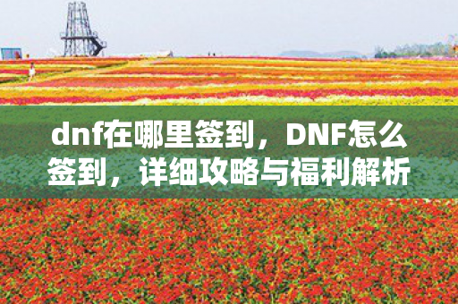 dnf在哪里签到，DNF怎么签到，详细攻略与福利解析