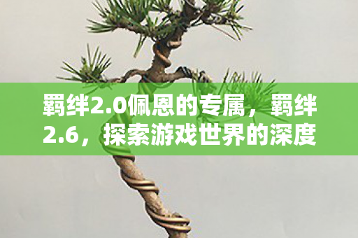 羁绊2.0佩恩的专属，羁绊2.6，探索游戏世界的深度与广度