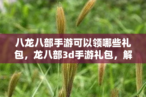 八龙八部手游可以领哪些礼包，龙八部3d手游礼包，解锁你的冒险之旅
