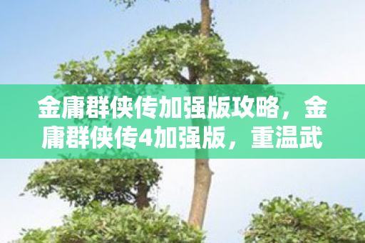 金庸群侠传加强版攻略，金庸群侠传4加强版，重温武侠梦，再续江湖情