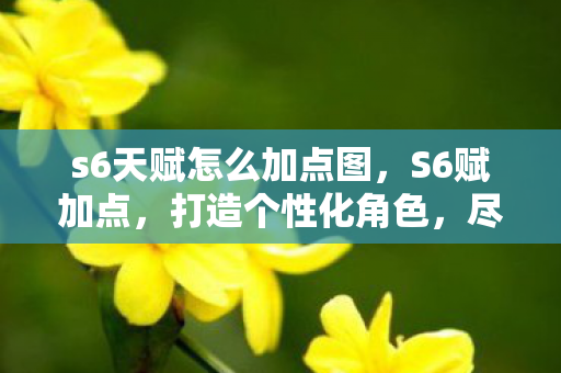 s6天赋怎么加点图，S6赋加点，打造个性化角色，尽享游戏乐趣